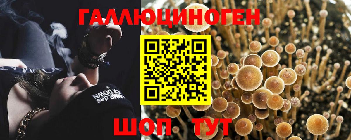 Псилоцибиновые грибы ЛСД Еманжелинск